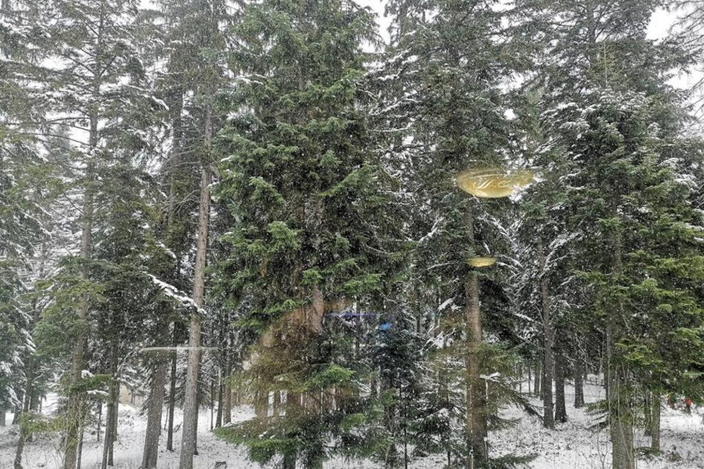 Studio Iceberg Borovets Студио с кухня Eksteriør billede