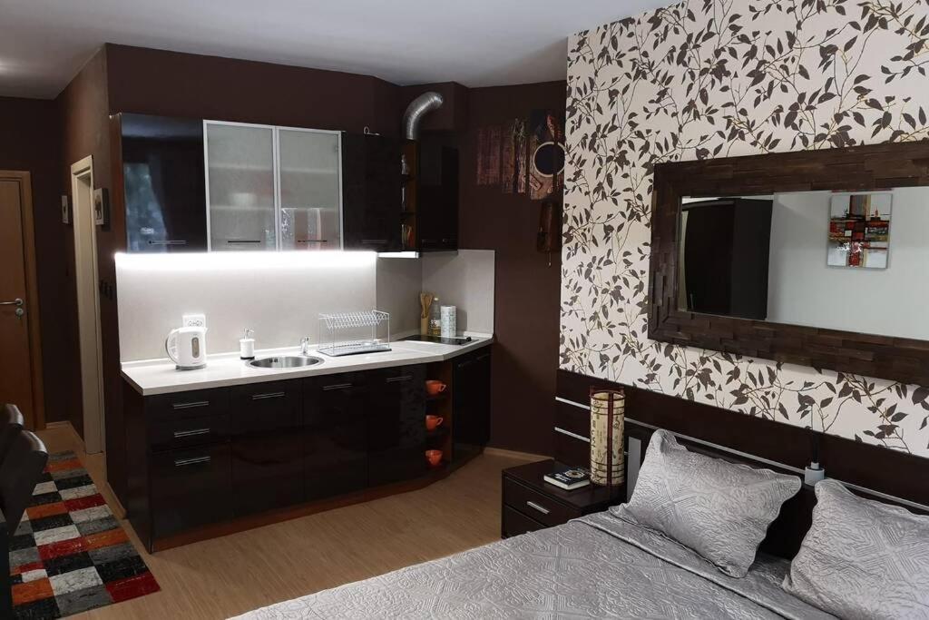 Studio Iceberg Borovets Студио с кухня Eksteriør billede