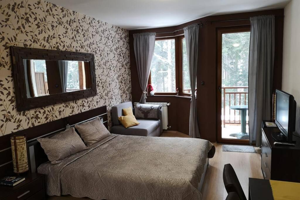 Studio Iceberg Borovets Студио с кухня Eksteriør billede