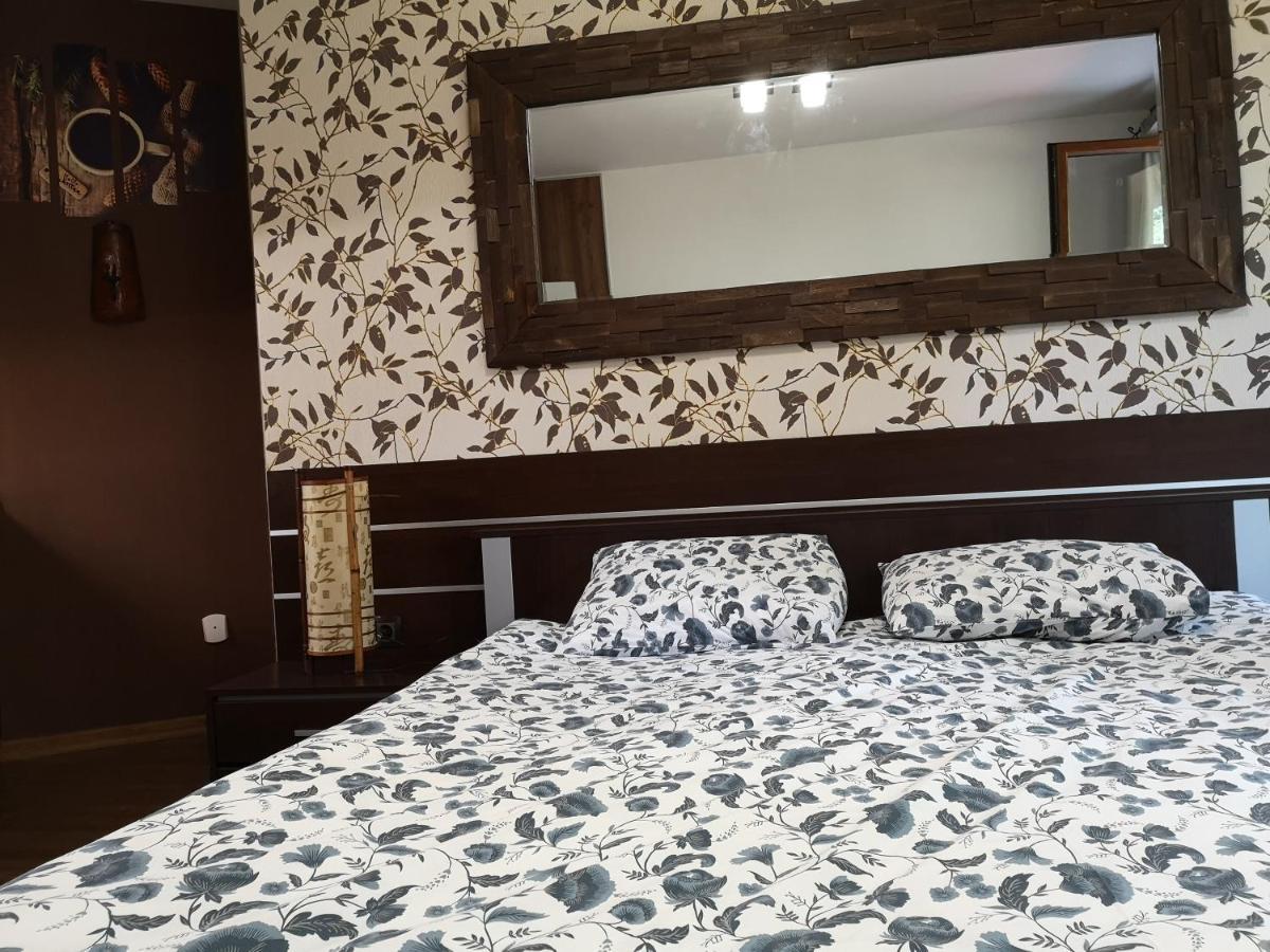 Studio Iceberg Borovets Студио с кухня Eksteriør billede