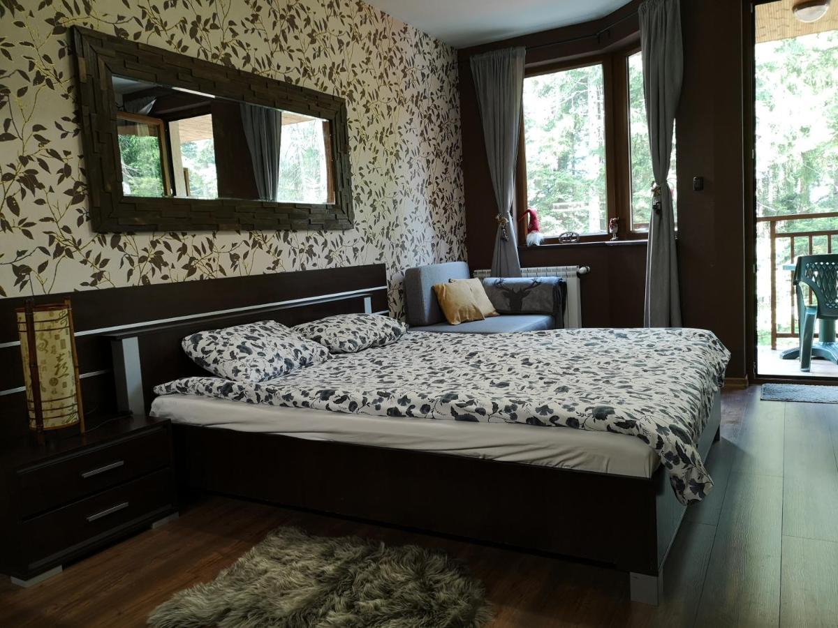 Studio Iceberg Borovets Студио с кухня Eksteriør billede