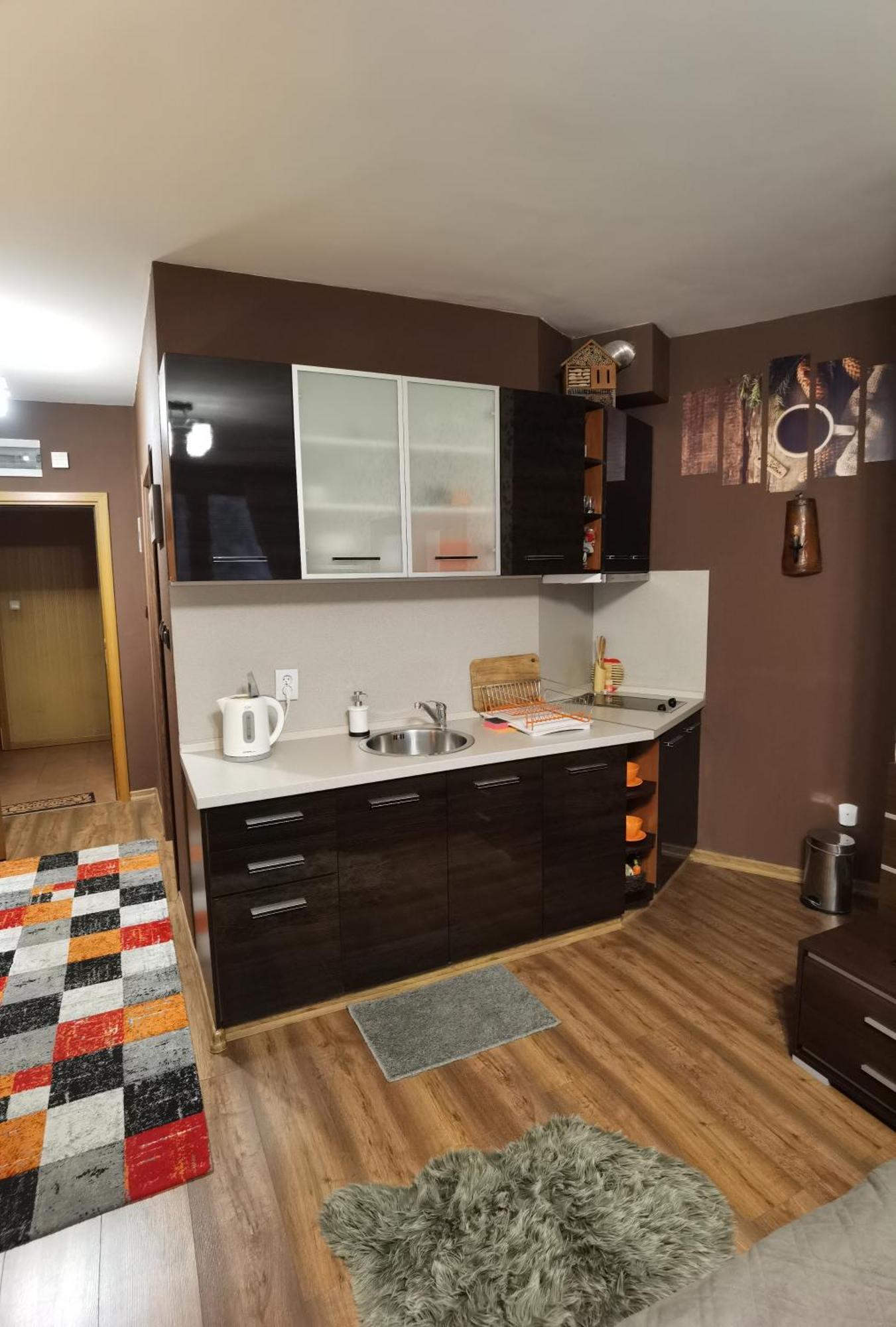 Studio Iceberg Borovets Студио с кухня Eksteriør billede