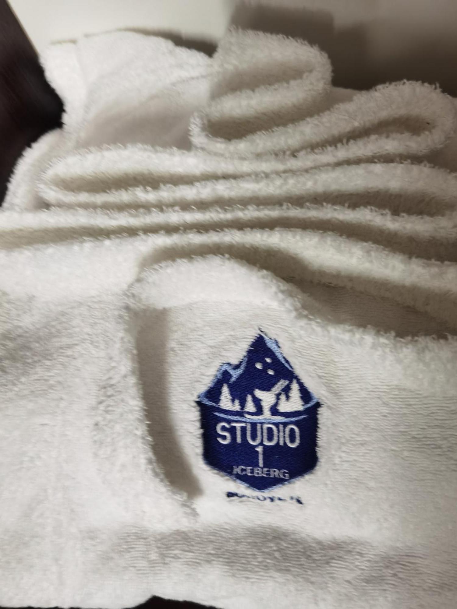 Studio Iceberg Borovets Студио с кухня Eksteriør billede